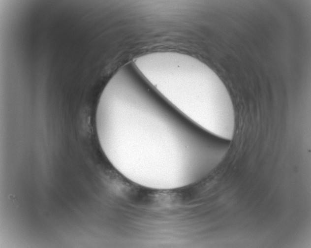 X0000068850615200605051019