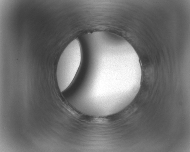 X0000068850617200605051019