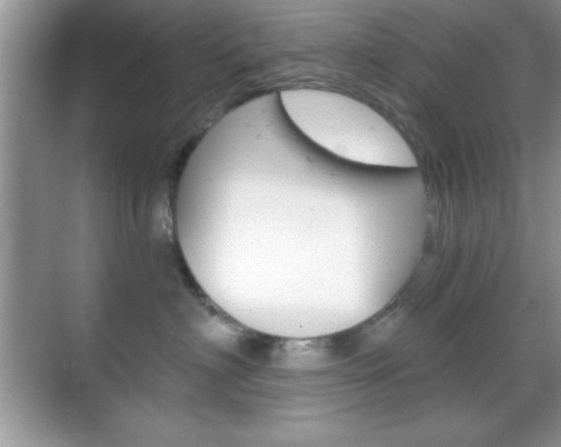 X0000068850622200605051019