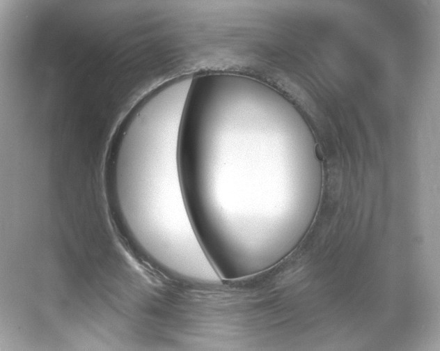 X0000068850626200605051018