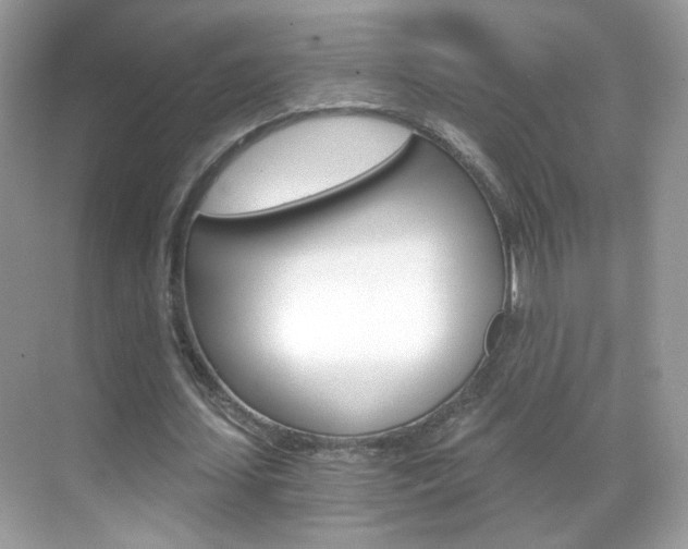 X0000068850627200605051018