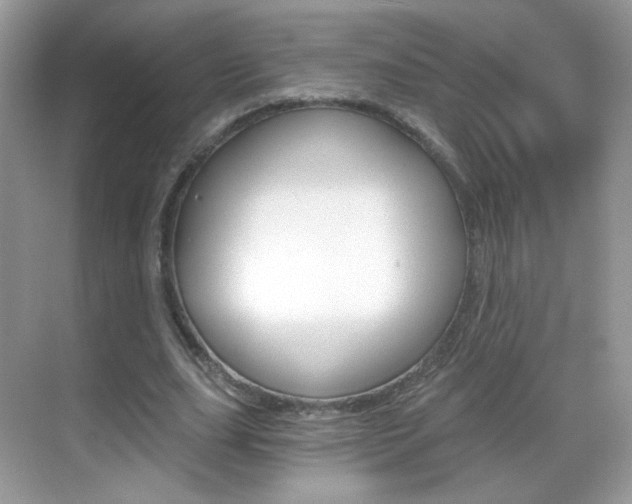 X0000068850631200605051018