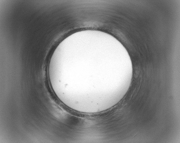 X0000068850632200605051018