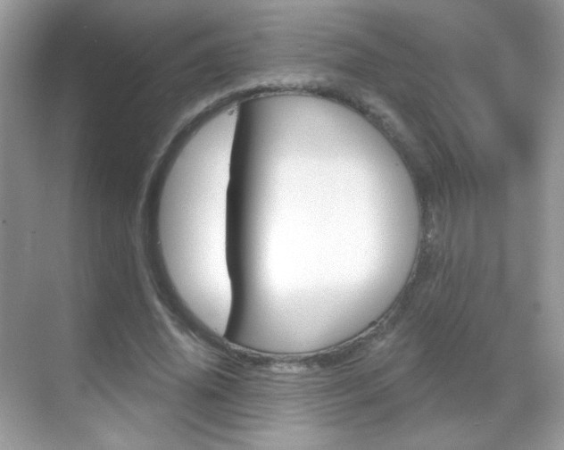 X0000068850636200605051019