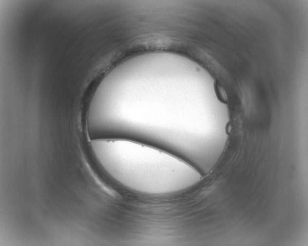 X0000068850638200605051019