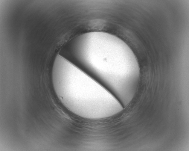 X0000068850641200605051019