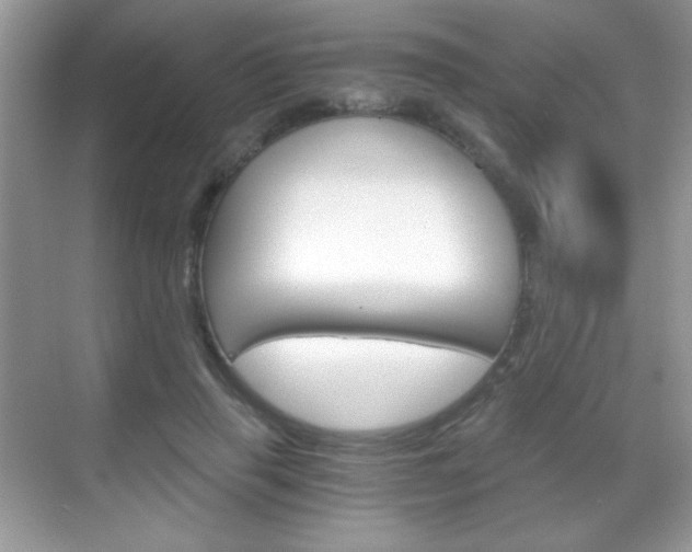 X0000068850645200605051019