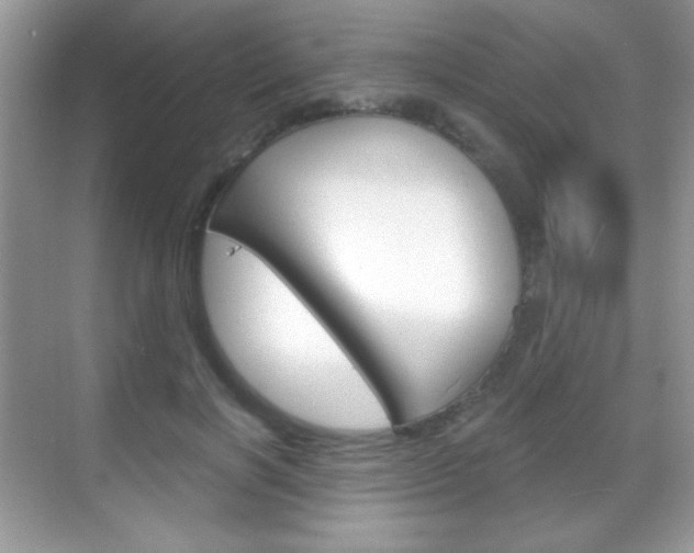 X0000068850646200605051019