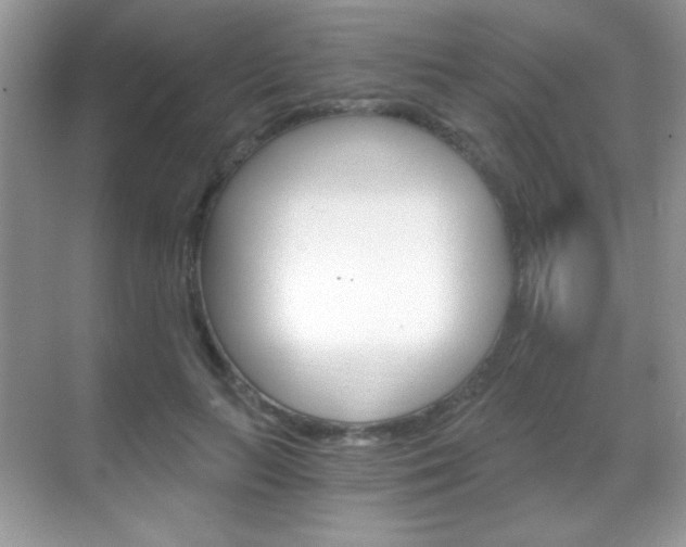 X0000068850647200605051019
