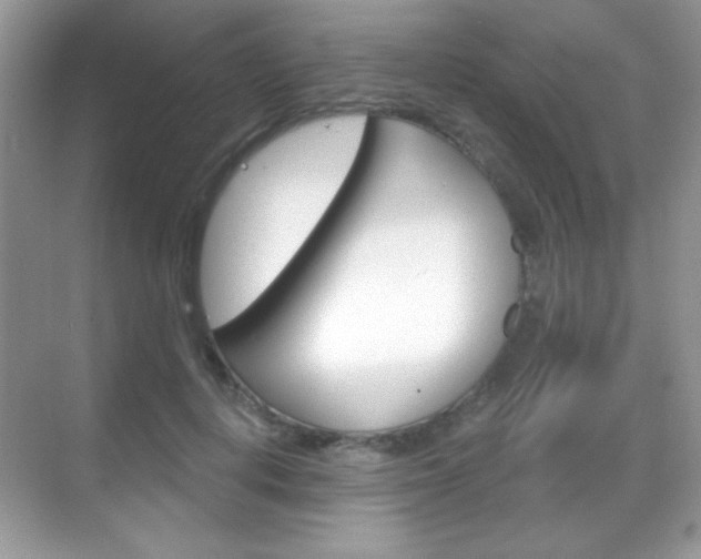 X0000068850648200605051019