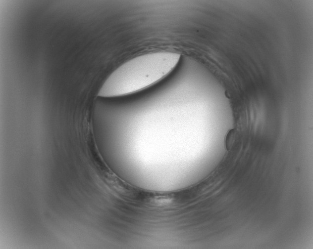 X0000068850651200605051019