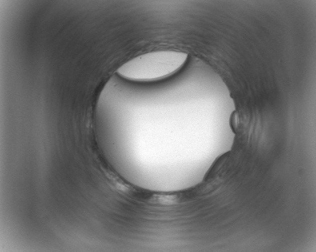 X0000068850665200605051019
