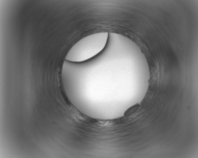X0000068850667200605051019