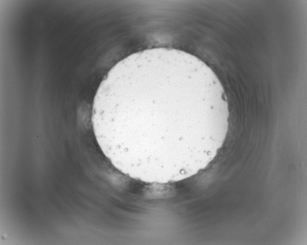 X0000068850672200605051019