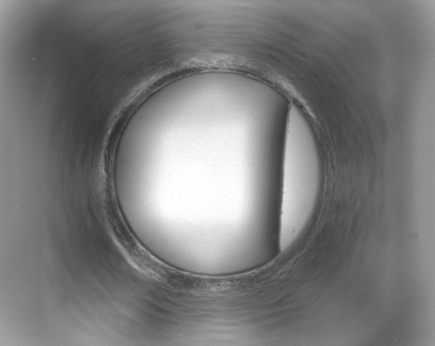 X0000068850674200605051018