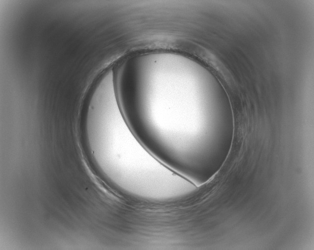 X0000068850677200605051018