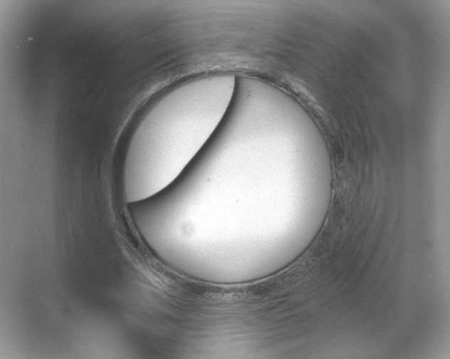 X0000068850679200605051018