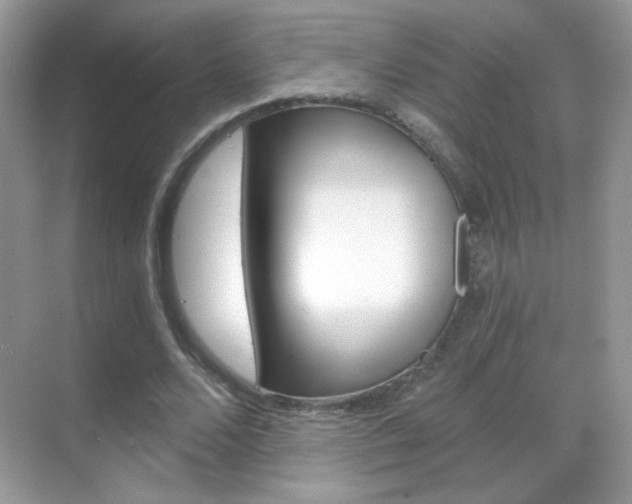 X0000068850680200605051018