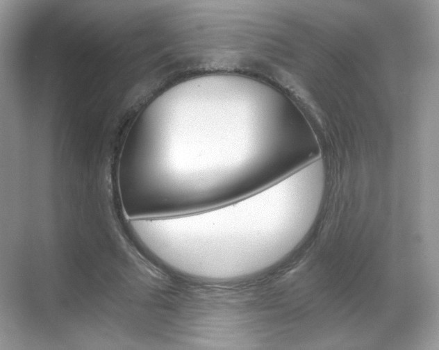 X0000068850681200605051018