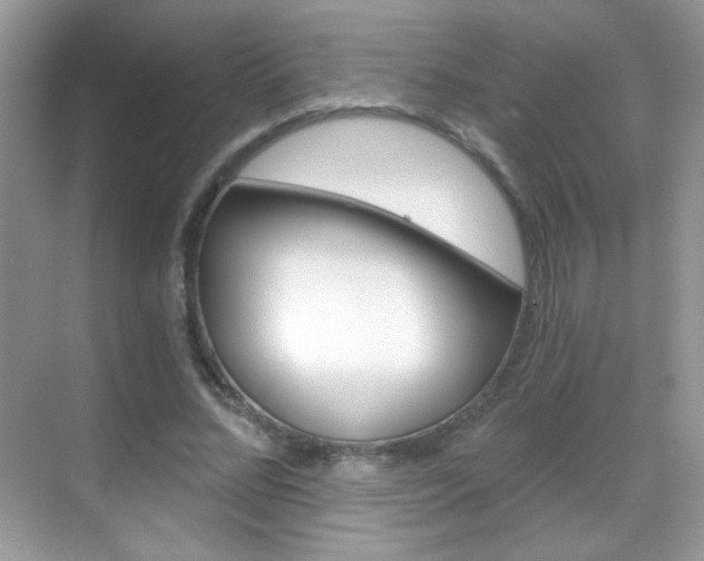 X0000068850684200605051018