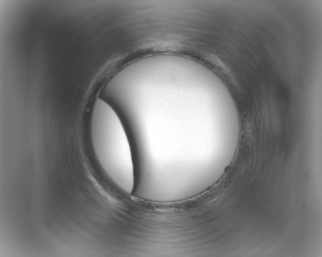 X0000068850686200605051018