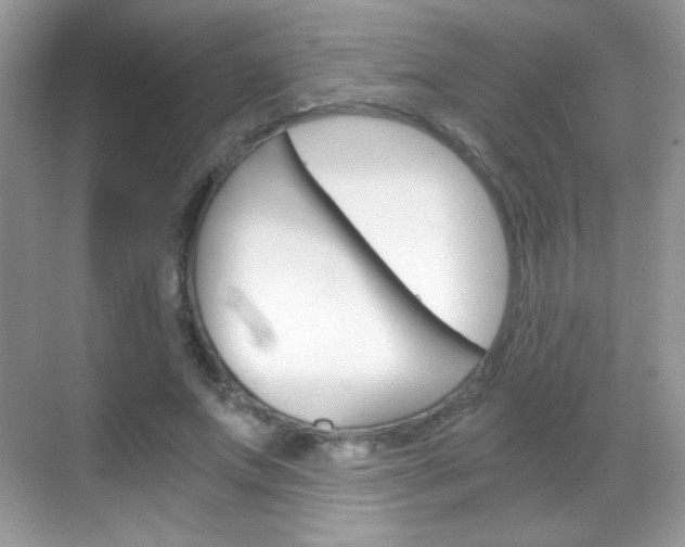 X0000068850687200605051018