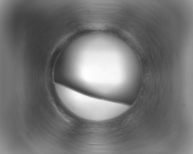 X0000068850688200605051018