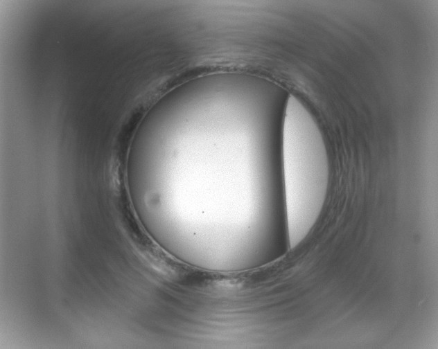 X0000068850692200605051018
