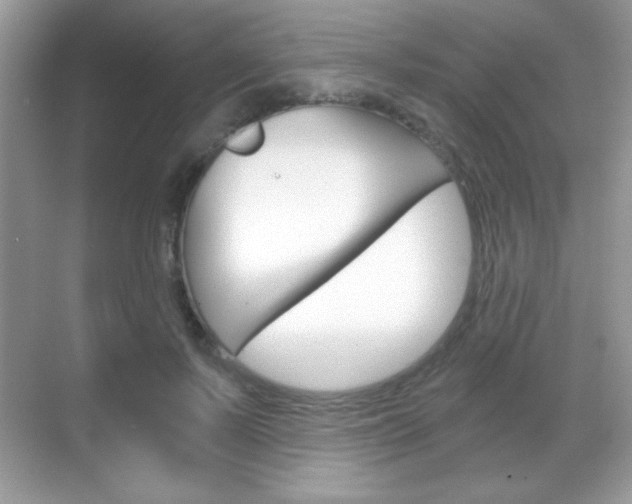 X0000068850695200605051018
