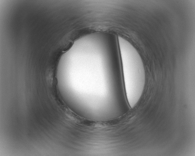 X0000068850697200605051018