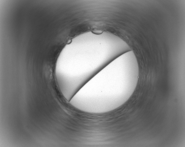 X0000068850703200605051018