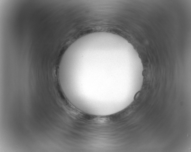 X0000068850711200605051018