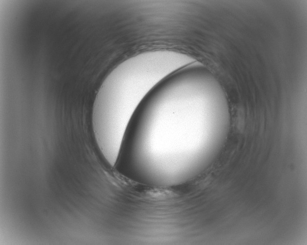 X0000068850712200605051018