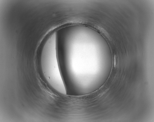 X0000068850723200605051017