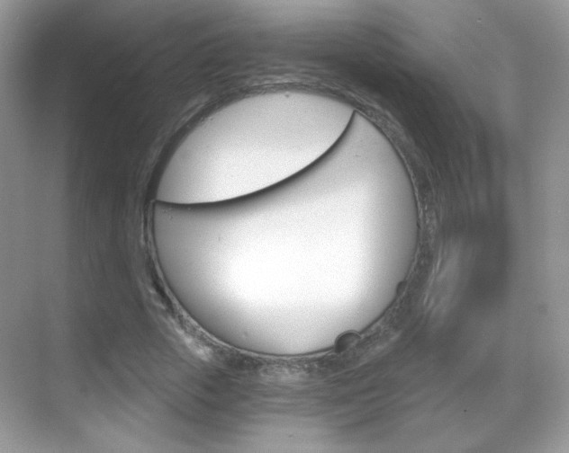 X0000068850729200605051017