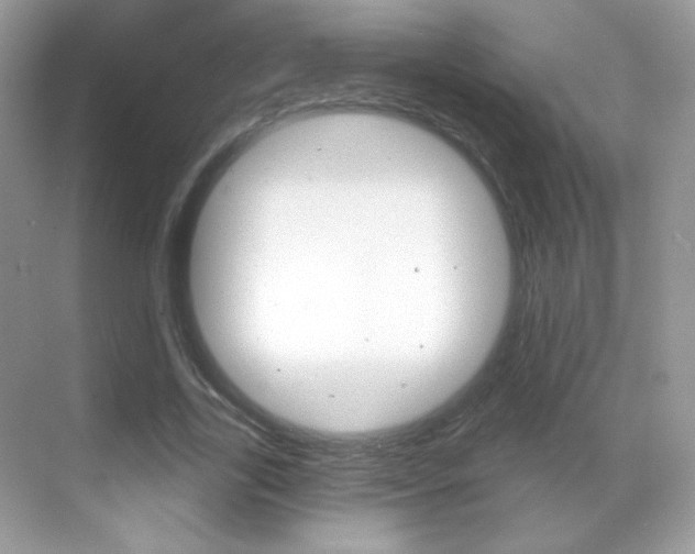 X0000068850731200605051017