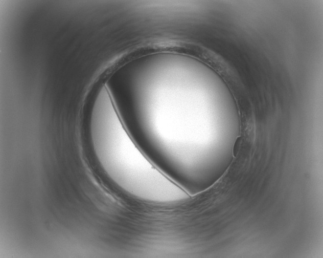 X0000068850732200605051017