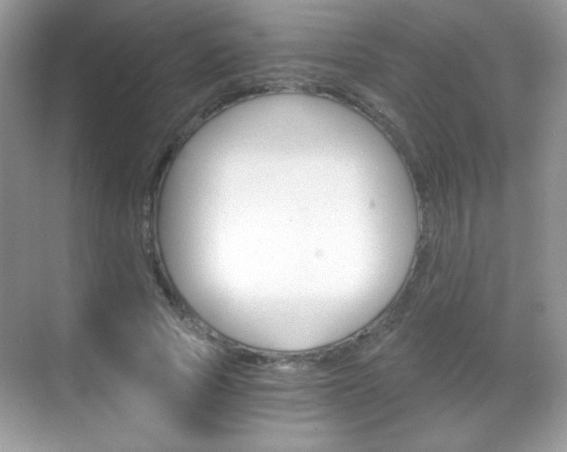 X0000068850737200605051017