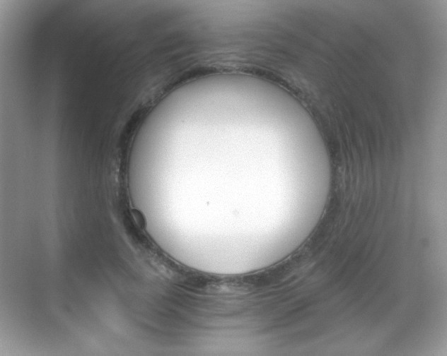 X0000068850739200605051017