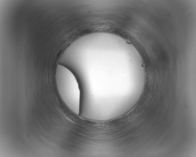 X0000068850745200605051017