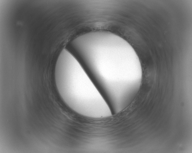 X0000068850746200605051017