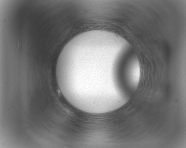 X0000068850750200605051017