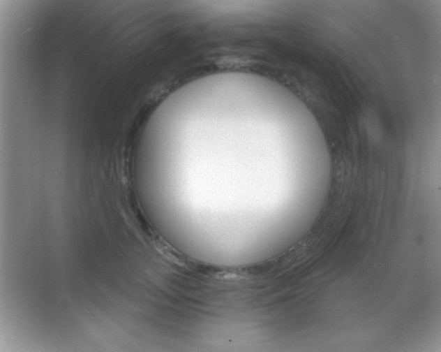 X0000068850755200605051017