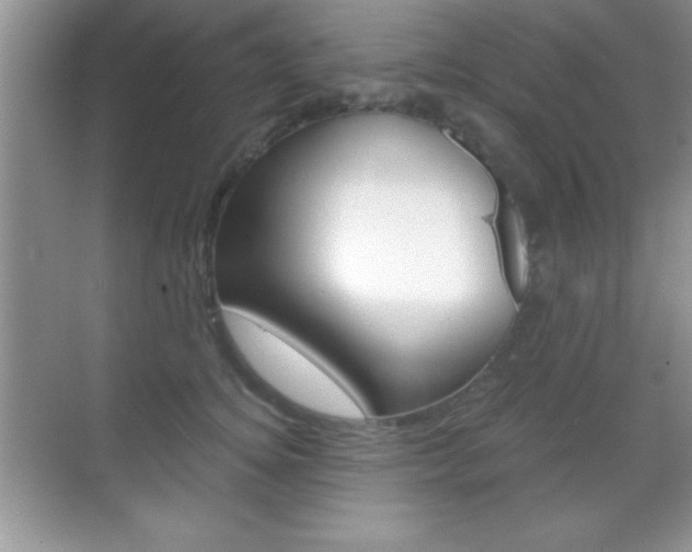 X0000068850756200605051017