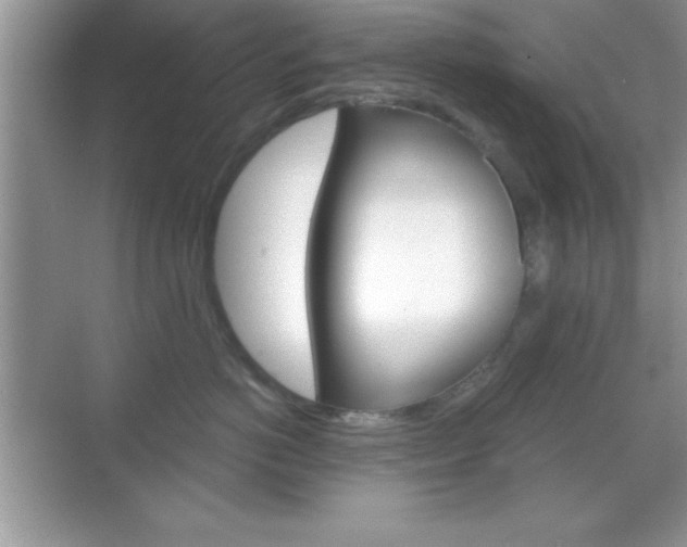 X0000068850766200605051017