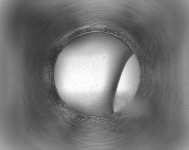 X0000068850773200605051017