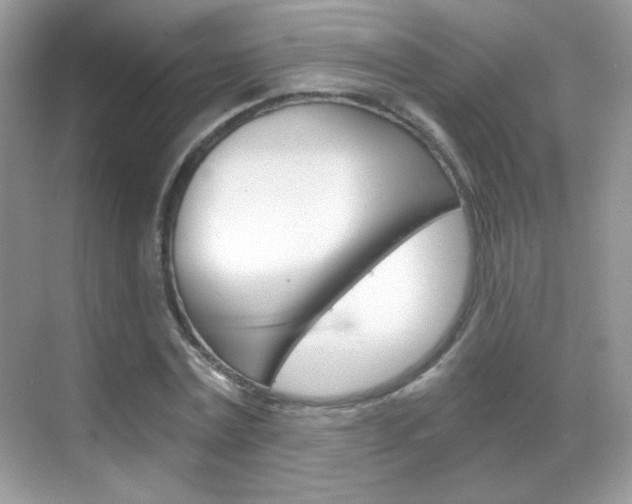X0000068850779200605051017