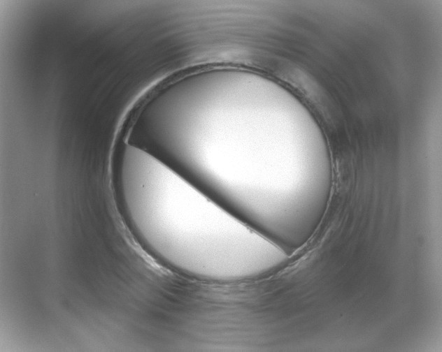 X0000068850780200605051017