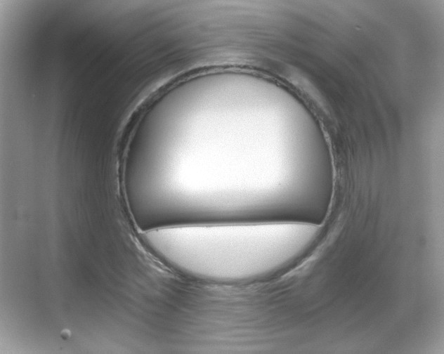 X0000068850781200605051017