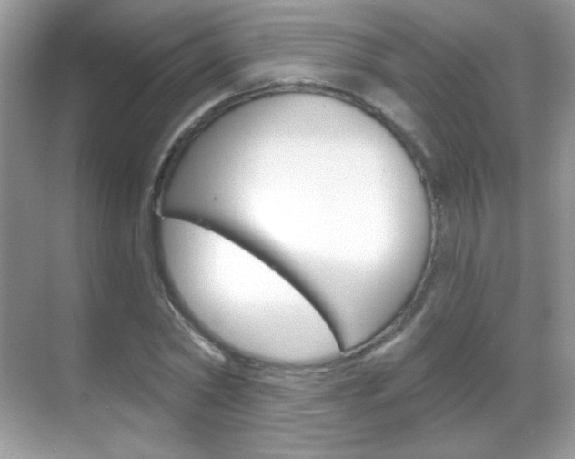 X0000068850782200605051016